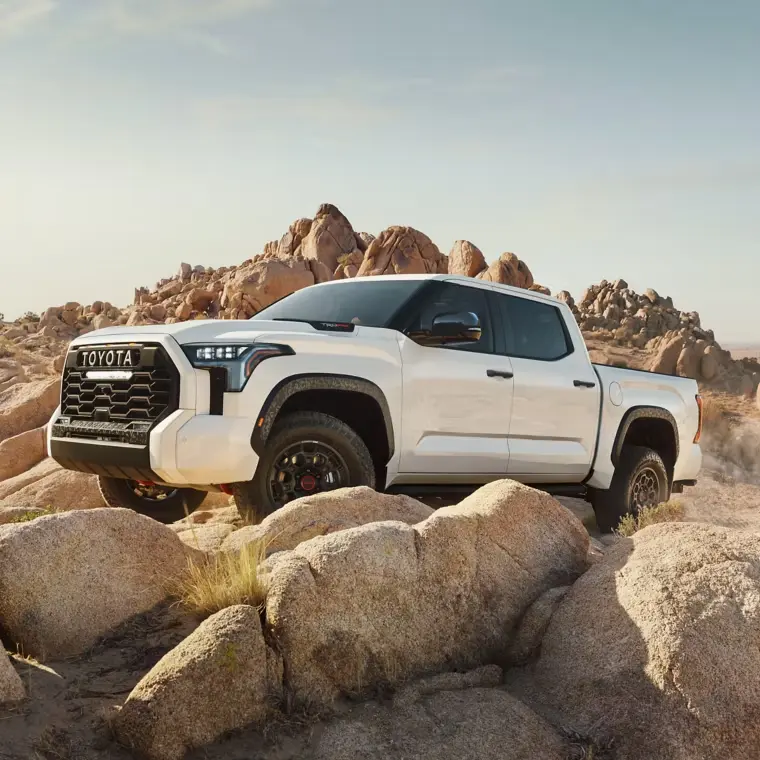 Welcome to Our Store